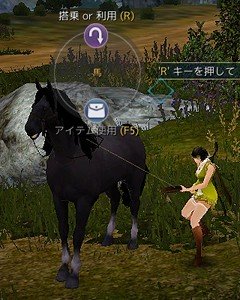 5世代馬～馬体が黒っぽく足首のみ白