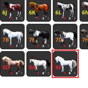 8世代白馬の色情報