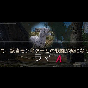 【知識収集】「ヤク」「ラマ」を依頼で取得
